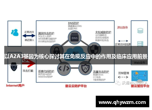 以A2A3基因为核心探讨其在免疫反应中的作用及临床应用前景